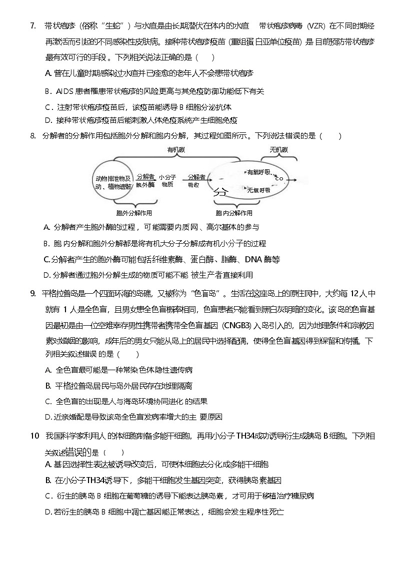 重庆市名校方案2025届高三上学期9月联考生物试卷（Word版附解析）第3页