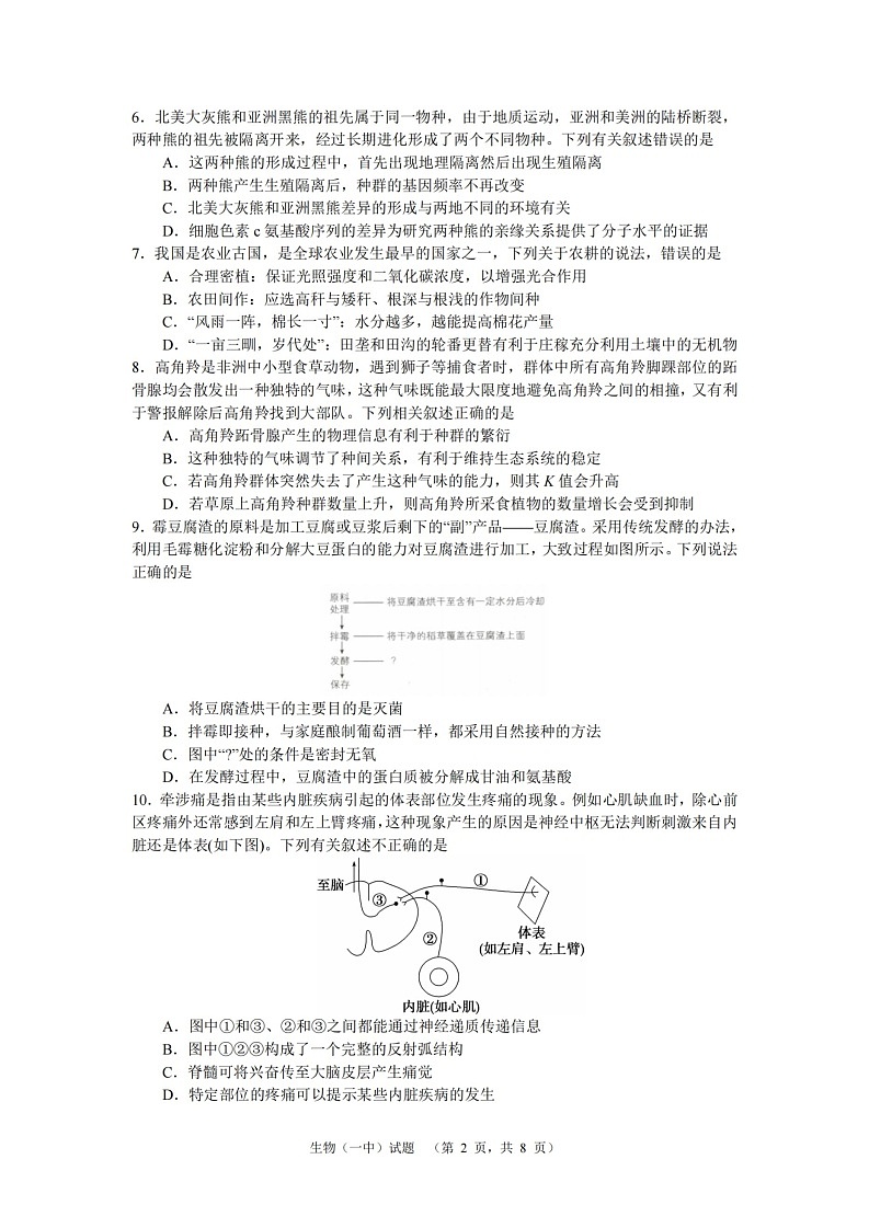 湖南省长沙市一中2024-2025学年高三上学期阶段性检测（一）生物试题第2页