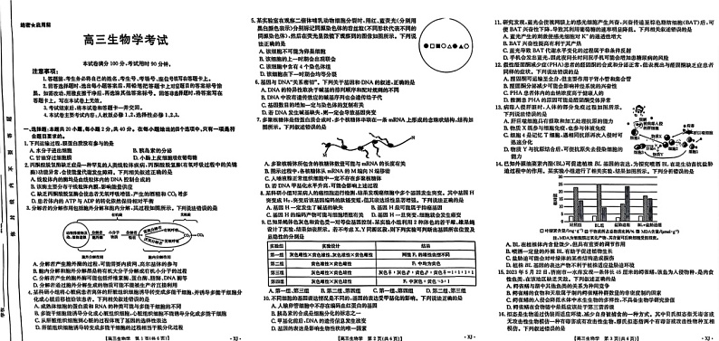 新疆金太阳2024-2025学年高三上学期9月第一次质量检测（XJ）生物01