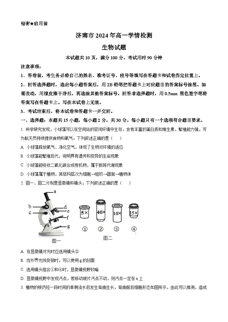 山东省济南市2024-2025学年高一上学期开学考试生物试题（Word版附答案）第1页