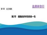 2024-2025学年 人教版  必修一  细胞的多样性和统一性 课件
