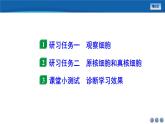 2024-2025学年 人教版  必修一  细胞的多样性和统一性 课件