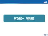 2024-2025学年 人教版  必修一  细胞的多样性和统一性 课件