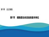 2024-2025学年 人教版  必修一  细胞是生命活动的基本单位 课件
