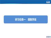 2024-2025学年 人教版  必修一  细胞是生命活动的基本单位 课件