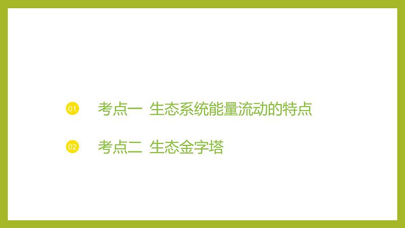 2024-2025学年 苏教版  选择性必修二 　 生态系统的能量流动 课件03