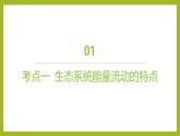 2024-2025学年 苏教版  选择性必修二 　 生态系统的能量流动 课件