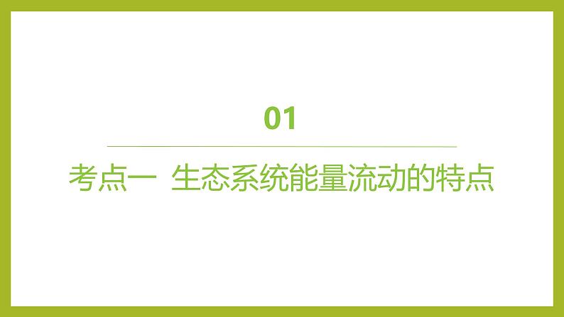 2024-2025学年 苏教版  选择性必修二 　 生态系统的能量流动 课件04