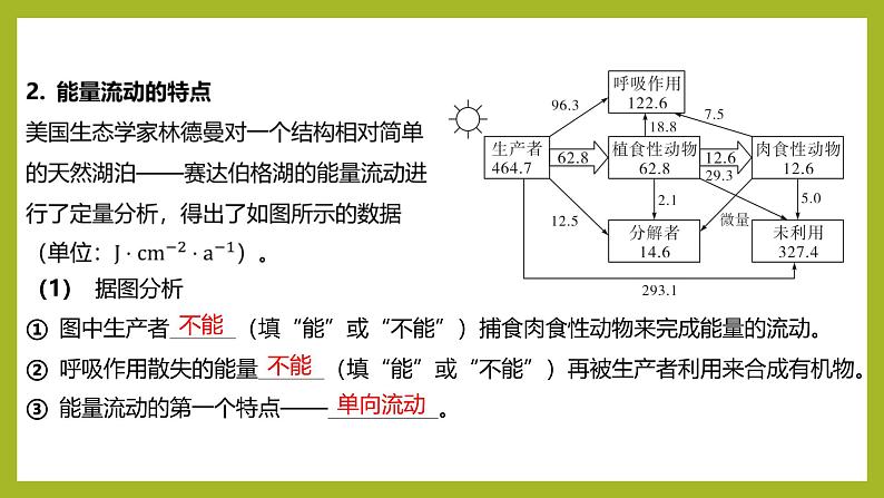 2024-2025学年 苏教版  选择性必修二 　 生态系统的能量流动 课件06