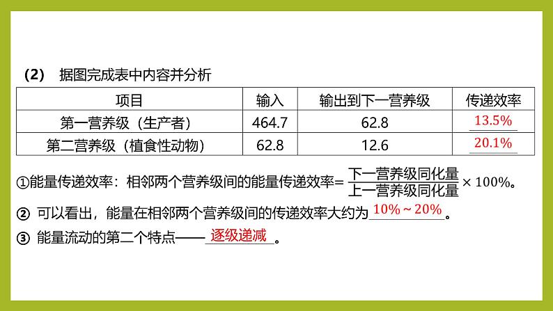 2024-2025学年 苏教版  选择性必修二 　 生态系统的能量流动 课件07