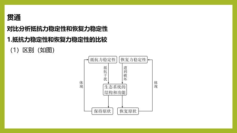 2024-2025学年 苏教版  选择性必修二 　 生态系统的稳态及维持 课件08