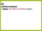 2024-2025学年 苏教版  选择性必修二 　生物群落的结构 课件