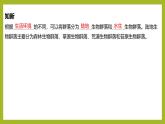 2024-2025学年 苏教版  选择性必修二 　生物群落的类型 课件 (1)