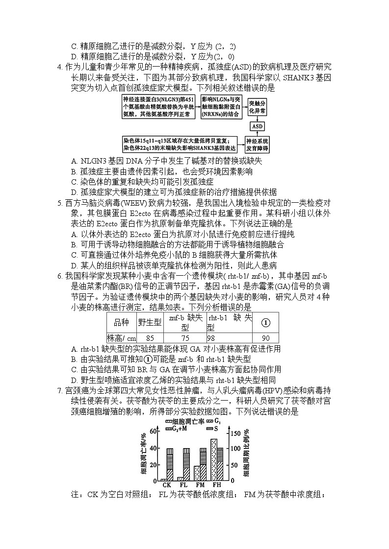 湖南省长沙市长郡中学2024-2025学年高三上学期调研考试（一）生物试题02