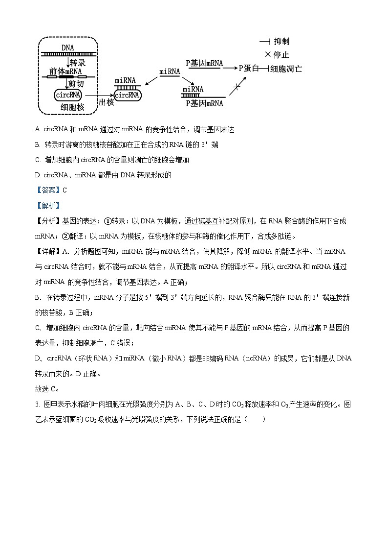 湖南衡阳名校2024—2025学年高三上学期9月联考生物试题（解析版）第2页