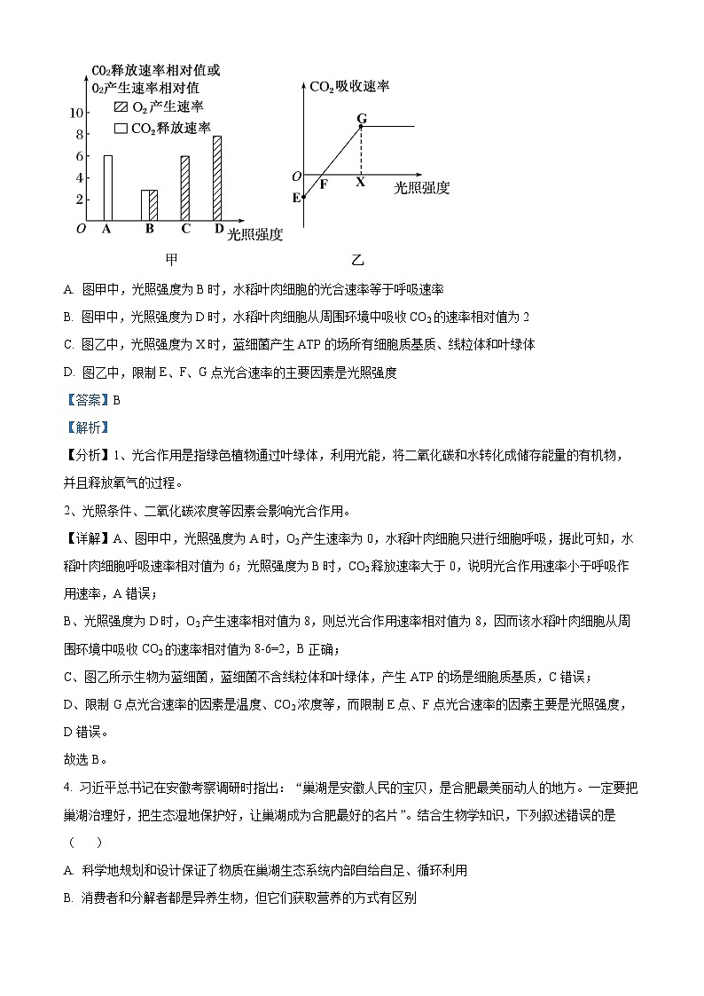湖南衡阳名校2024—2025学年高三上学期9月联考生物试题（解析版）第3页