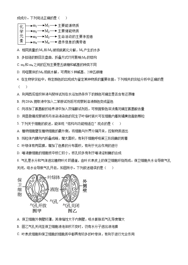四川省绵阳市南山中学2024-2025学年高三上学期9月月考生物试题（原卷版）第2页