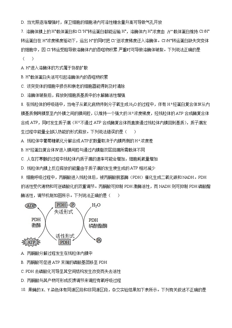 四川省绵阳市南山中学2024-2025学年高三上学期9月月考生物试题（原卷版）第3页