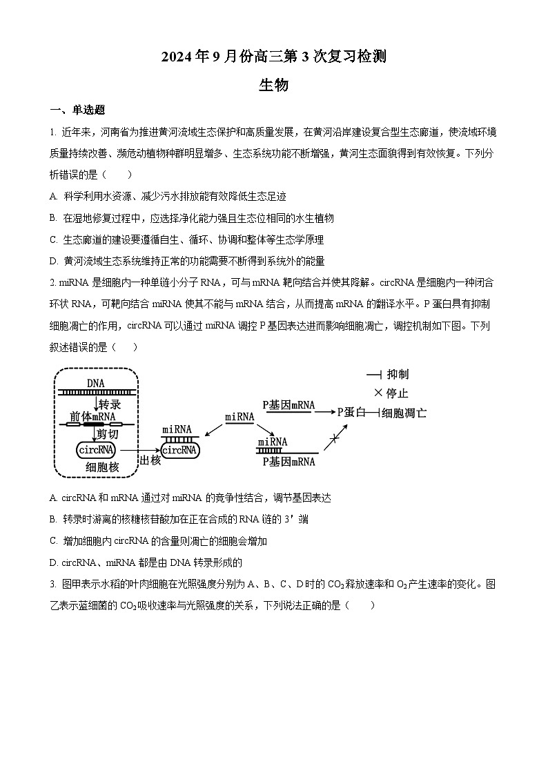 湖南衡阳名校2024—2025学年高三上学期9月联考生物试题（原卷版）01