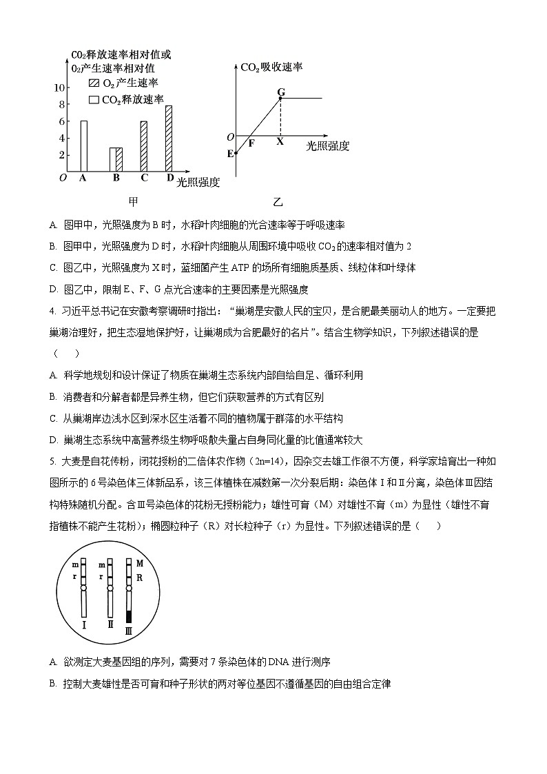 湖南衡阳名校2024—2025学年高三上学期9月联考生物试题（原卷版）02