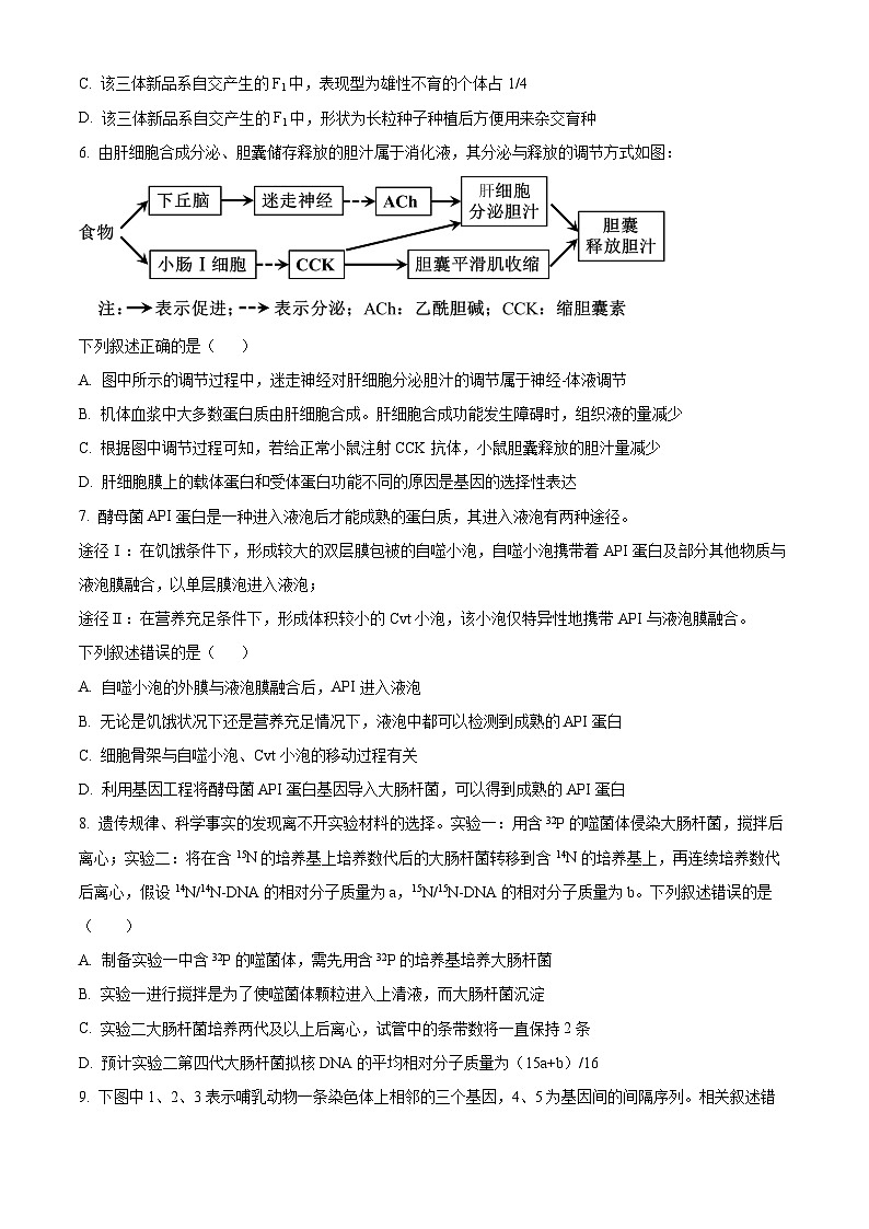 湖南衡阳名校2024—2025学年高三上学期9月联考生物试题（原卷版）03