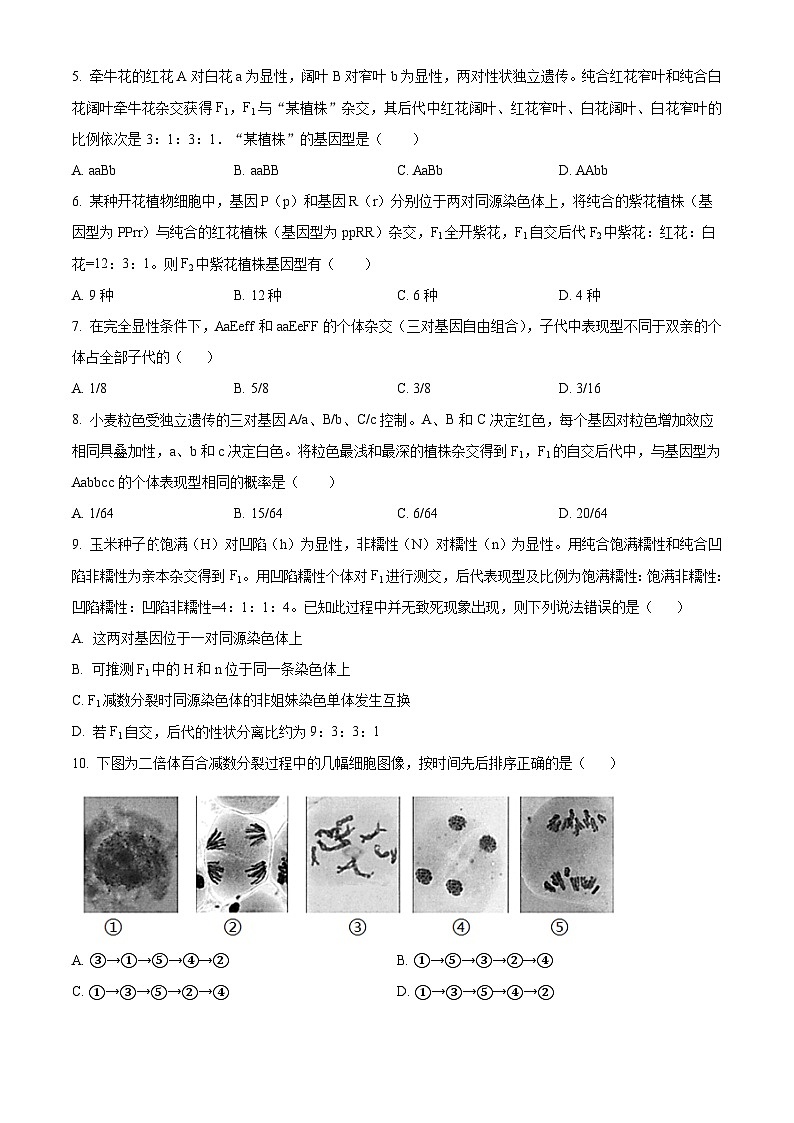 北京市北京师范大学附属中学2023-2024学年高一下学期期中考试生物试题  Word版无答案第2页