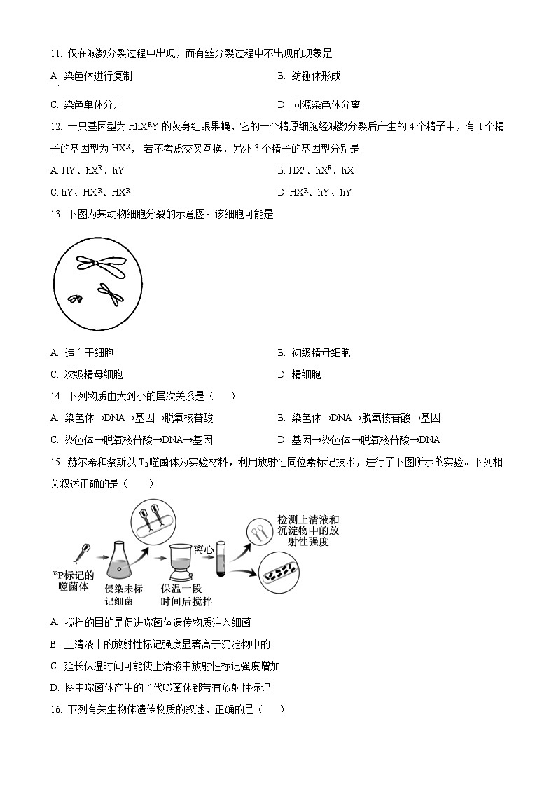 北京市北京师范大学附属中学2023-2024学年高一下学期期中考试生物试题  Word版无答案第3页