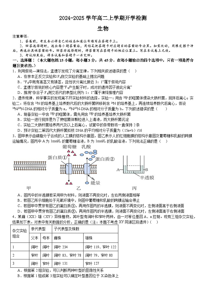 河南省许昌高级中学2024-2025学年高二上学期开学考试生物试卷（Word版附答案）第1页
