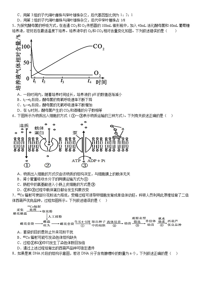 河南省许昌高级中学2024-2025学年高二上学期开学考试生物试卷（Word版附答案）第2页