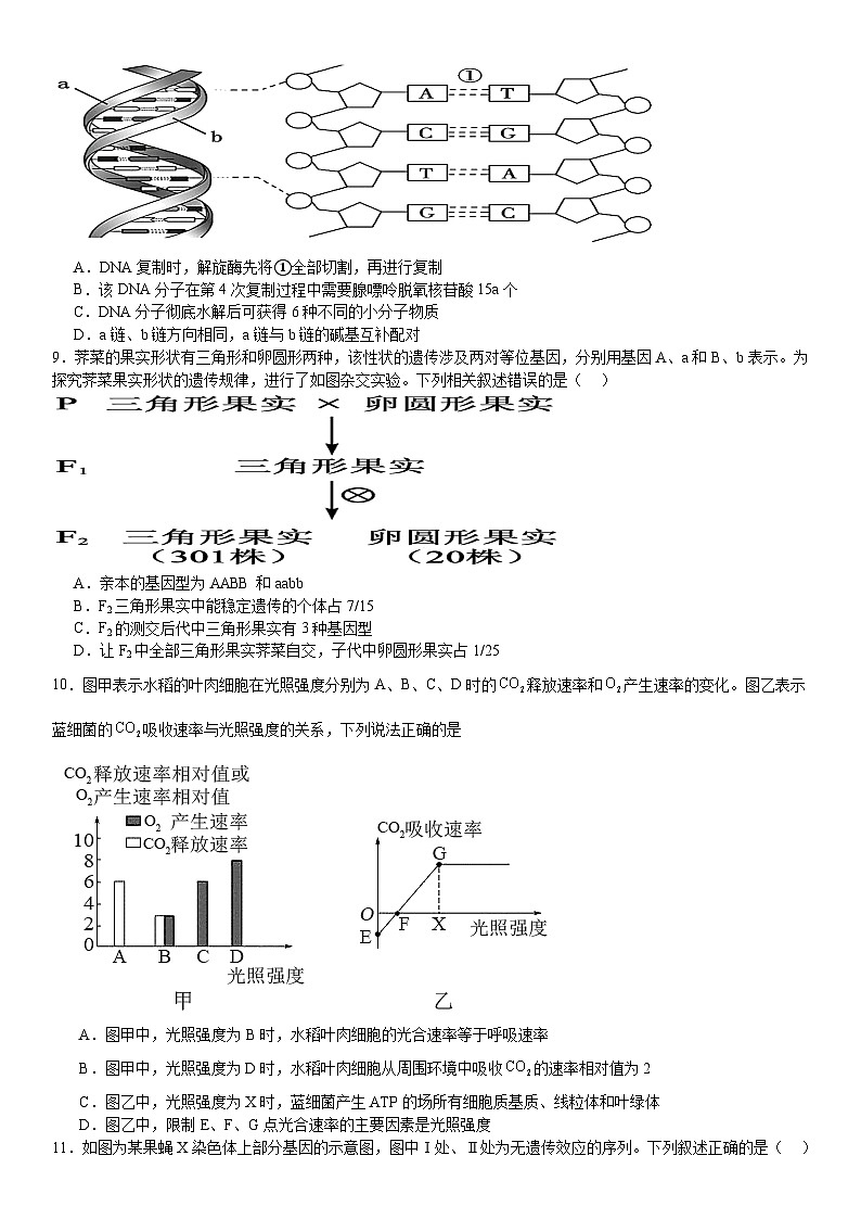 河南省许昌高级中学2024-2025学年高二上学期开学考试生物试卷（Word版附答案）第3页