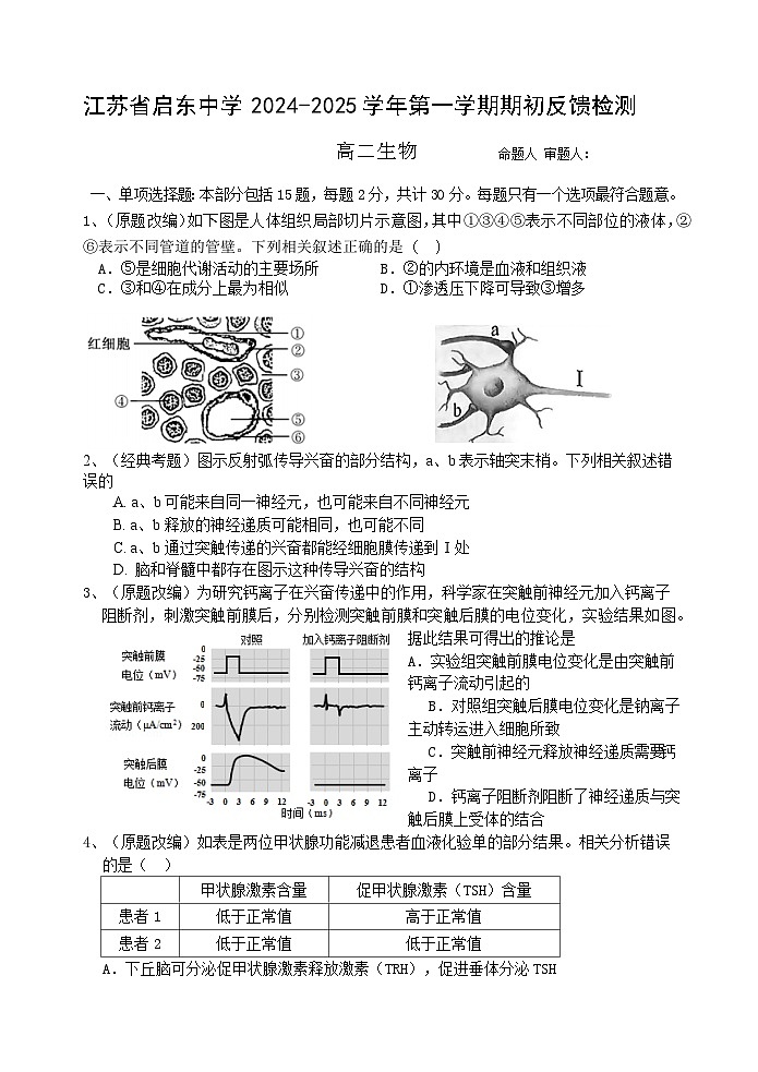 江苏省启东中学2024-2025学年高二上学期期初调研生物试卷（Word版附答案）01
