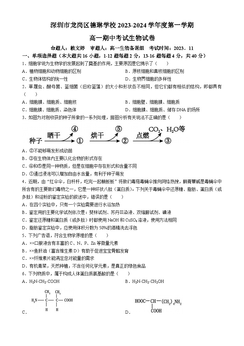 广东省深圳市龙岗区德琳学校2023-2024学年高一上学期期中考试生物试题(无答案)01