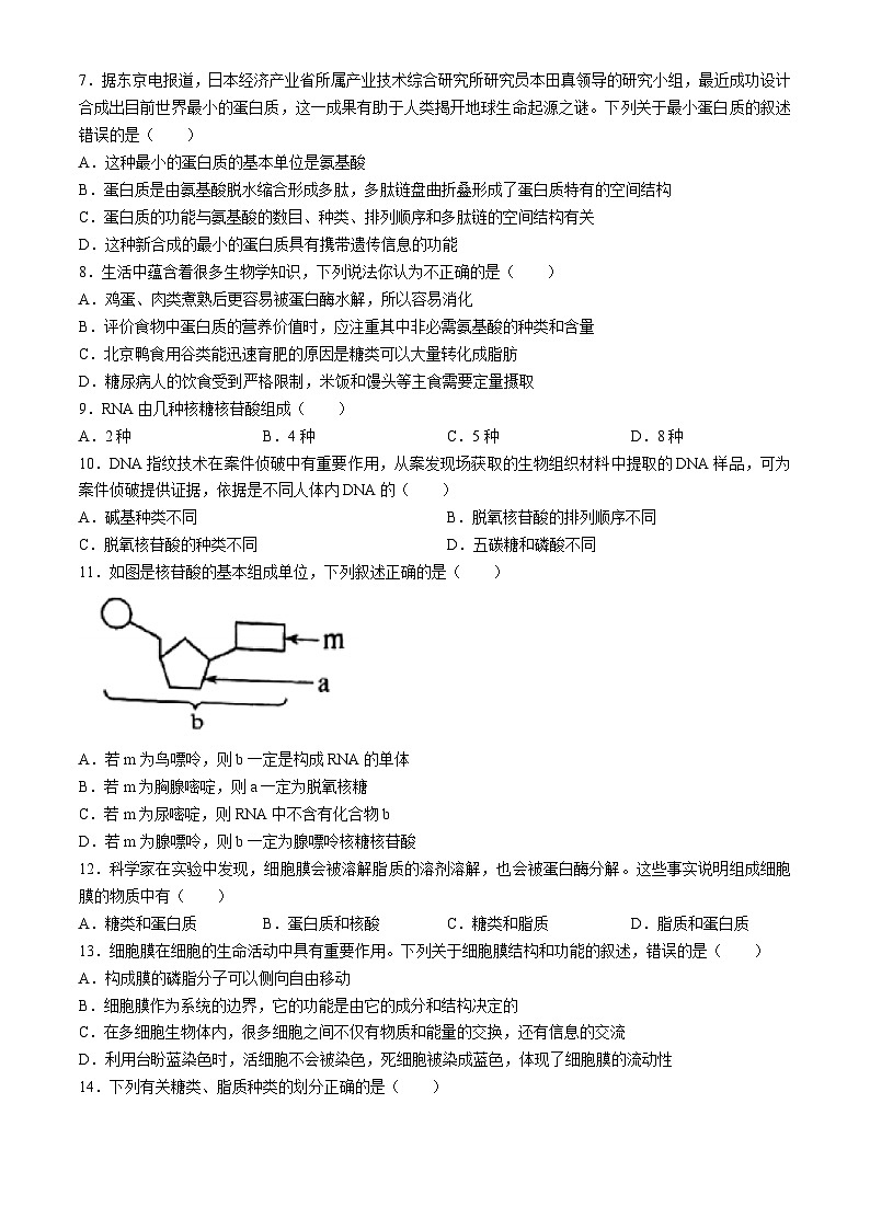 广东省深圳市龙岗区德琳学校2023-2024学年高一上学期期中考试生物试题(无答案)02