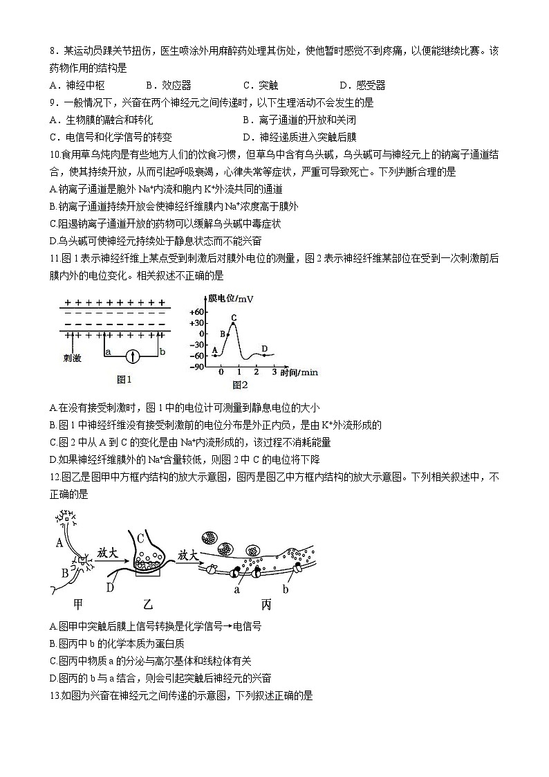福建省漳州市东山第二中学2021-2022学年高二上学期期中考试生物试题02