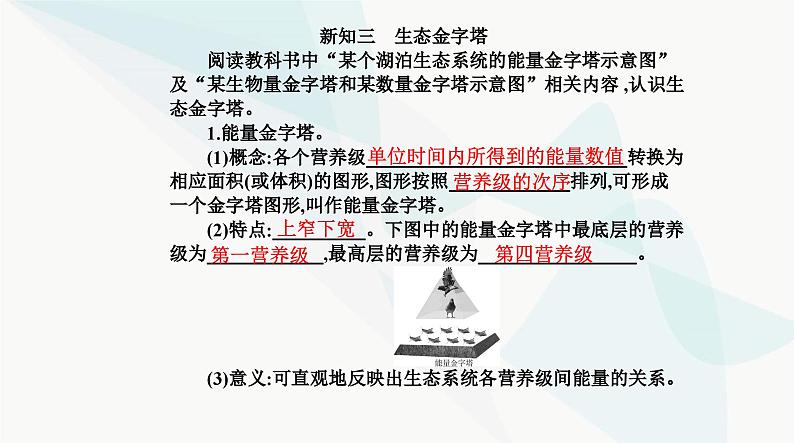 人教版高中生物选择性必修2第3章生态系统及其稳定性第2节生态系统的能量流动课件第7页
