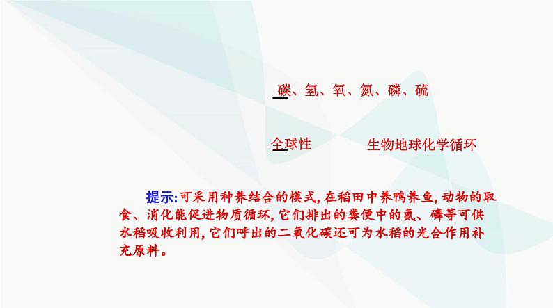 人教版高中生物选择性必修2第3章生态系统及其稳定性第3节生态系统的物质循环课件06