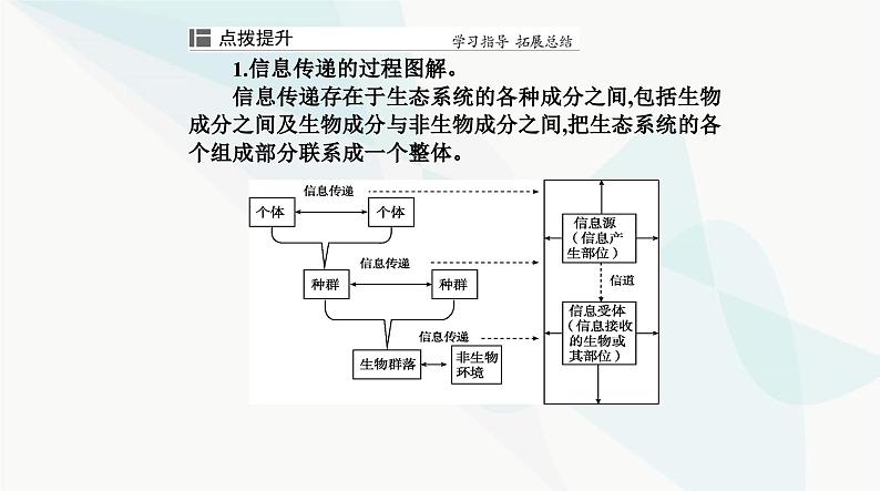 人教版高中生物选择性必修2第3章生态系统及其稳定性第4节生态系统的信息传递课件第8页