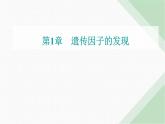 人教版高中生物必修2第1章遗传因子的发现第2节孟德尔的豌豆杂交实验（二）课件