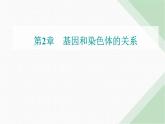 人教版高中生物必修2第2章基因和染色体的关系第1节减数分裂和受精作用第1课时减数分裂课件