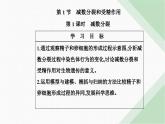 人教版高中生物必修2第2章基因和染色体的关系第1节减数分裂和受精作用第1课时减数分裂课件