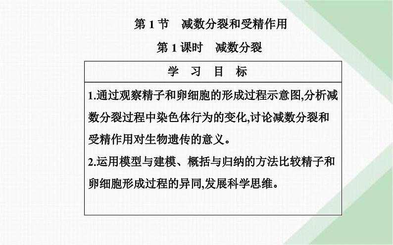 人教版高中生物必修2第2章基因和染色体的关系第1节减数分裂和受精作用第1课时减数分裂课件第2页