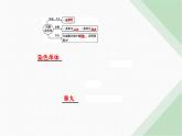 人教版高中生物必修2第2章基因和染色体的关系第1节减数分裂和受精作用第1课时减数分裂课件