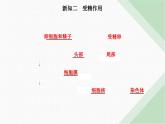 人教版高中生物必修2第2章基因和染色体的关系第1节减数分裂和受精作用第3课时受精作用课件