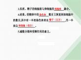 人教版高中生物必修2第2章基因和染色体的关系第1节减数分裂和受精作用第3课时受精作用课件