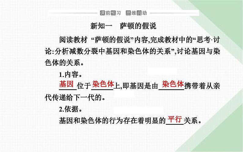 人教版高中生物必修2第2章基因和染色体的关系第2节基因在染色体上课件第3页