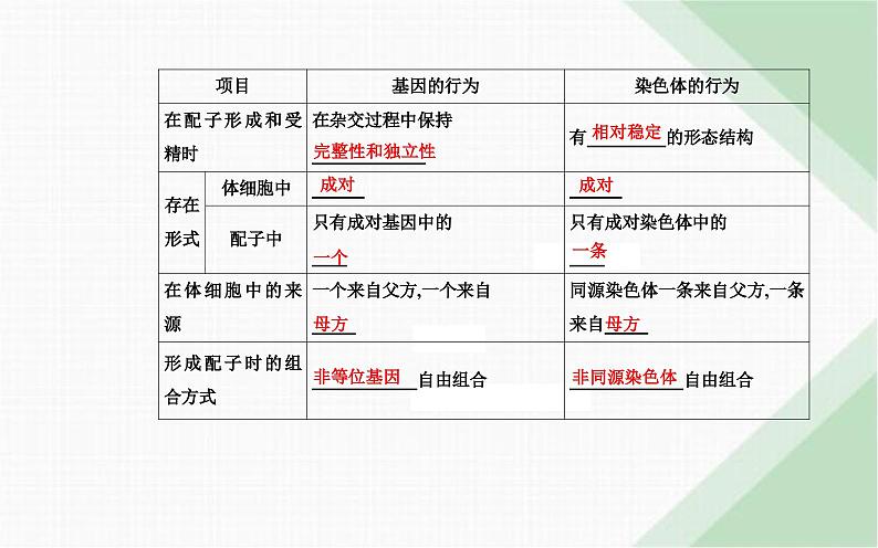 人教版高中生物必修2第2章基因和染色体的关系第2节基因在染色体上课件第4页