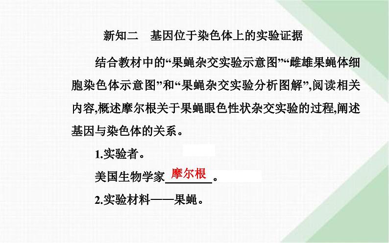 人教版高中生物必修2第2章基因和染色体的关系第2节基因在染色体上课件第5页