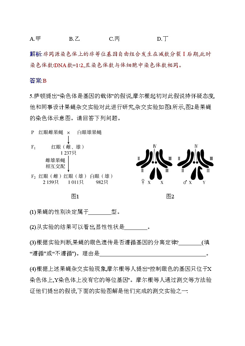人教版高中生物必修2第2章基因和染色体的关系第2节基因在染色体上练习含答案第3页
