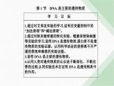 人教版高中生物必修2第3章基因的本质第1节DNA是主要的遗传物质课件