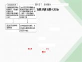人教版高中生物必修2第3章基因的本质第1节DNA是主要的遗传物质课件